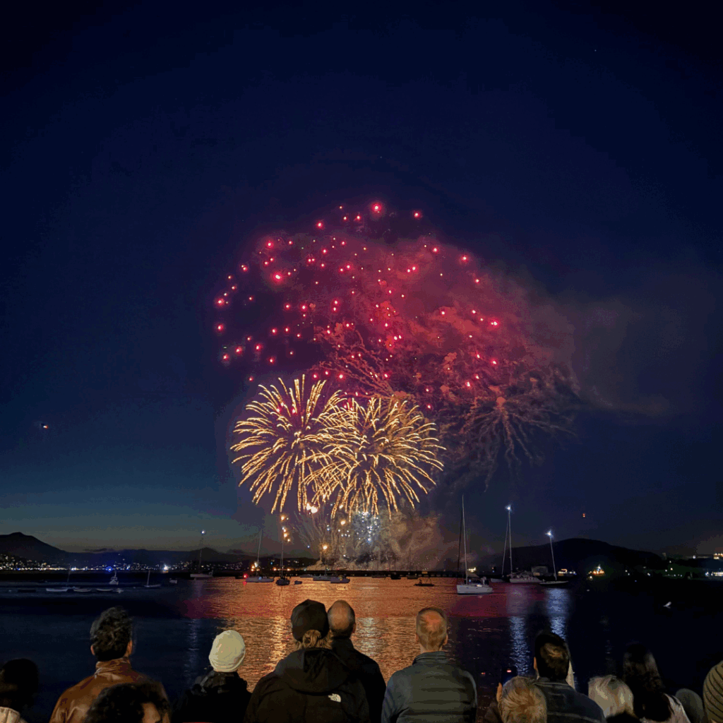 yellow and pink fireworks across the water