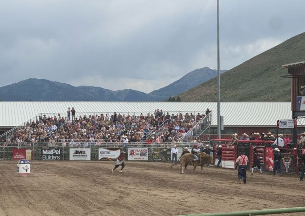 Bull riding action at the Jackson Hole rodeo arena, with packed grandstands full of spectators and mountains in the background