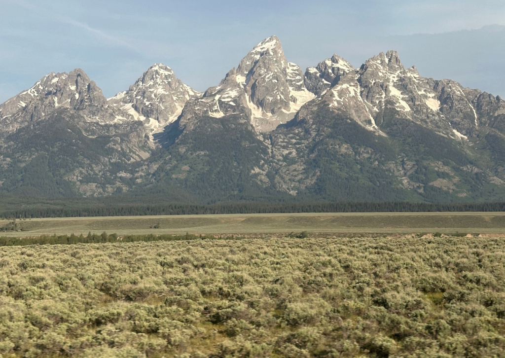 Panoramic view of the snow-capped Grand Teton mountain range rising above a wide sagebrush meadow under a clear blue sky