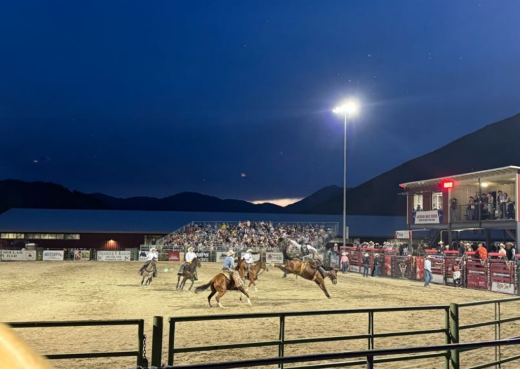Bronco riding at the Jackson Hole rodeo under floodlights at night, with mountains silhouetted against the twilight sky