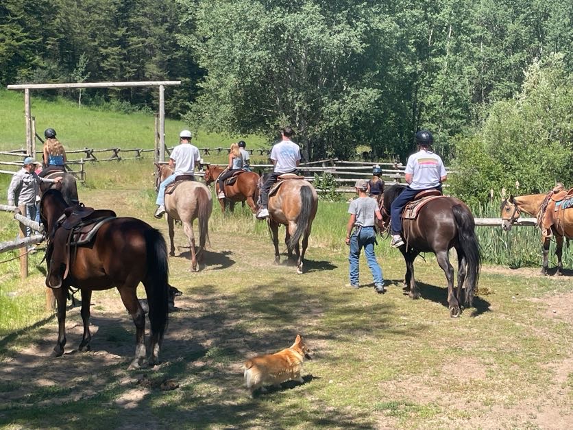 students horse back riding away