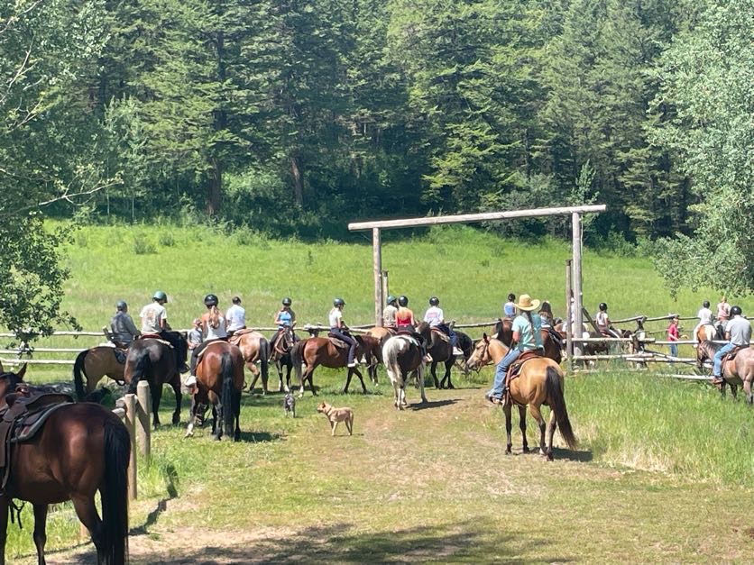 Large group of students on horseback lined up in a ranch meadow preparing for a trail ride, viewed from behind, with a ranch instructor on horseback and ranch dogs visible among the group