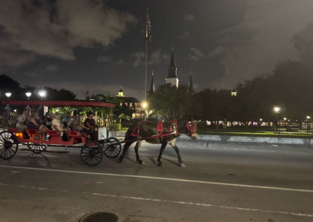 A horse-drawn carriage passing through Jackson Square at night, with St. Louis Cathedral illuminated in the background.