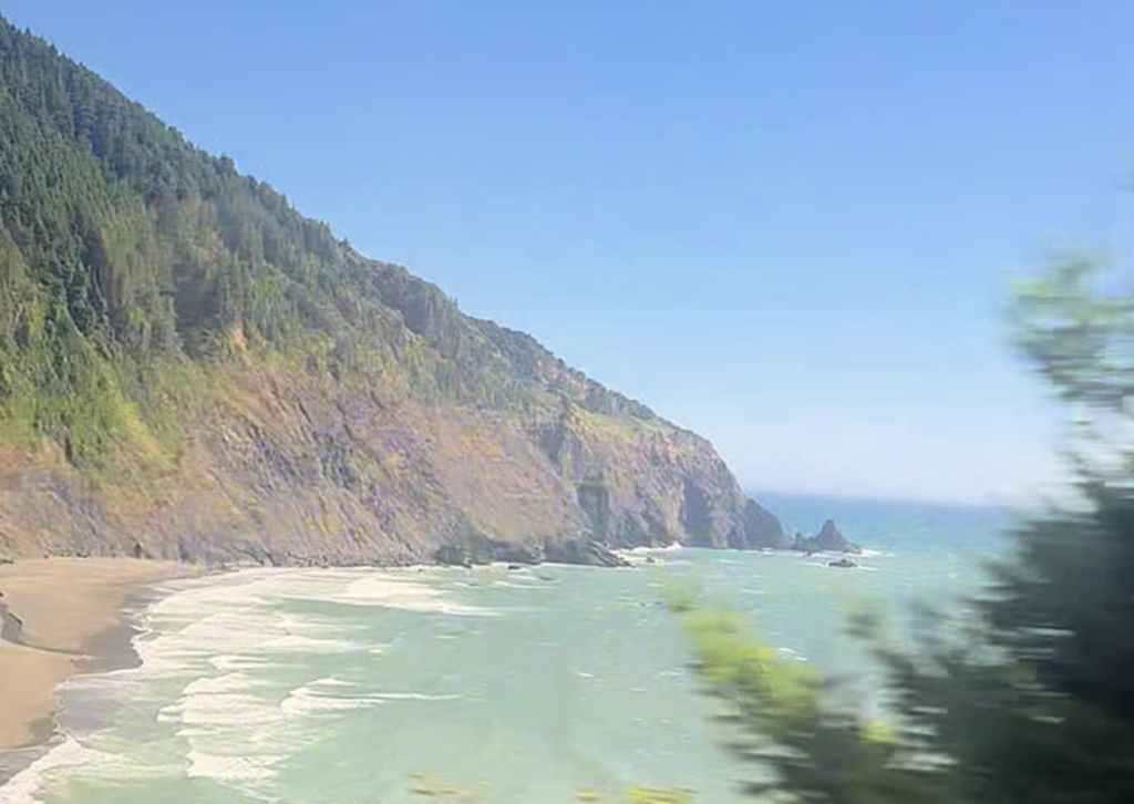Oregon coastline with tall forested cliffs meeting a sandy beach along the Pacific Ocean