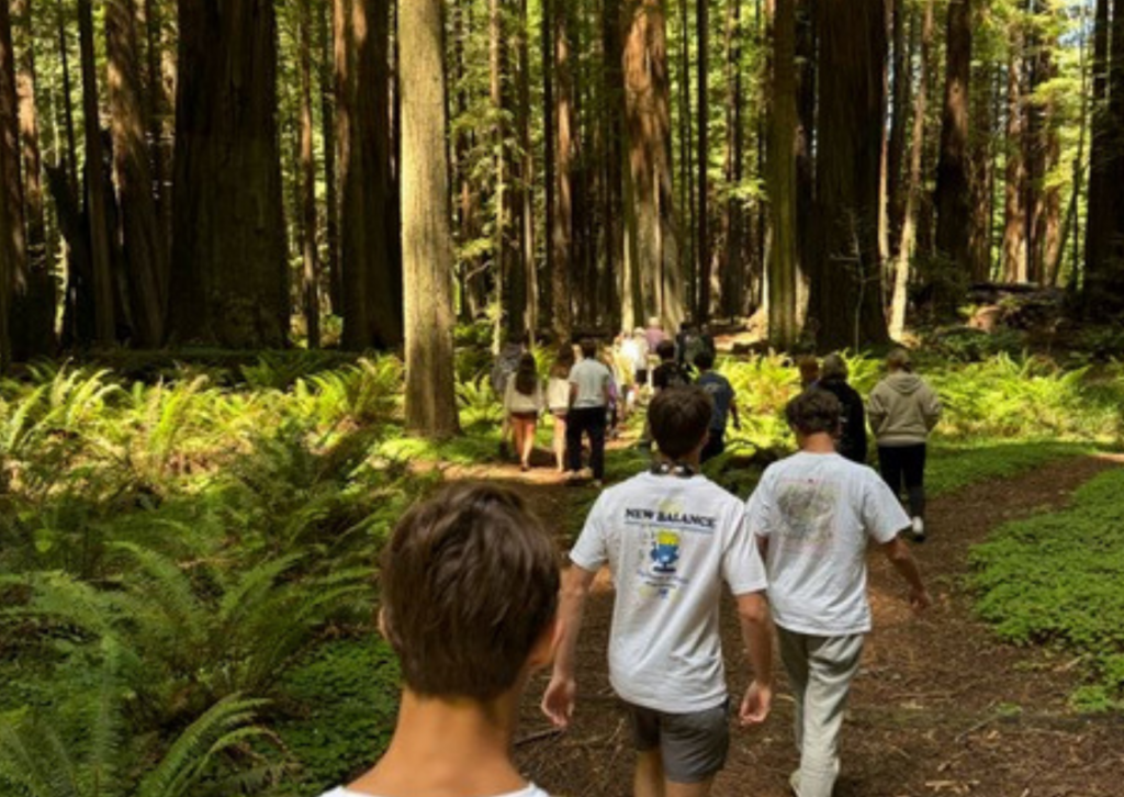 Group of teenagers walking along a fern-lined trail through redwood forest