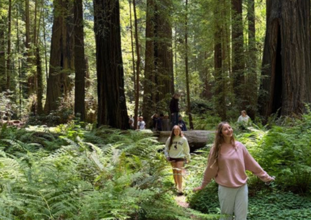 Two girls walking through a fern-covered forest floor surrounded by tall redwoods